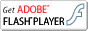 �t���b�V��